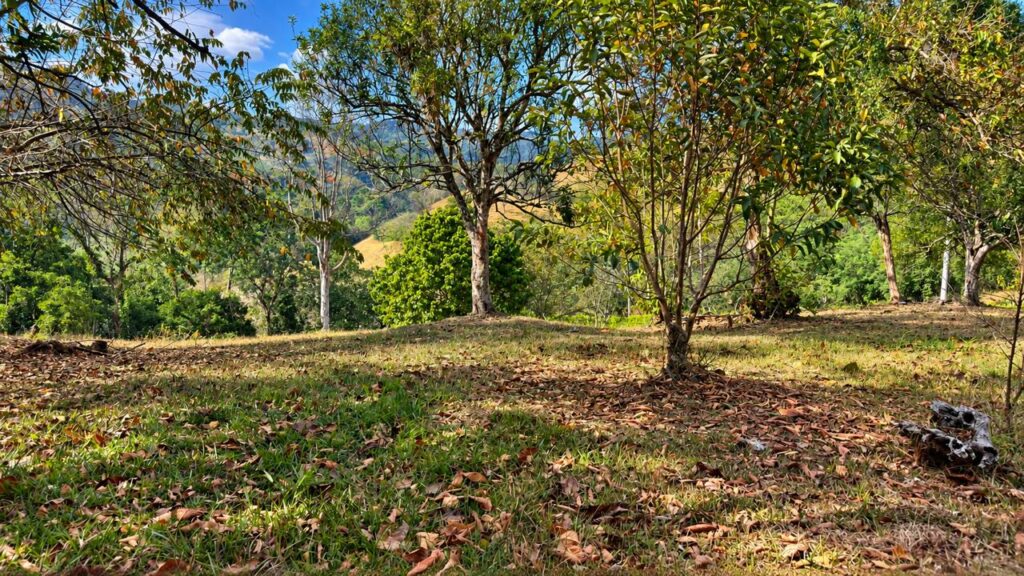 LOTE 3 QUINTAS DEL LIMON
