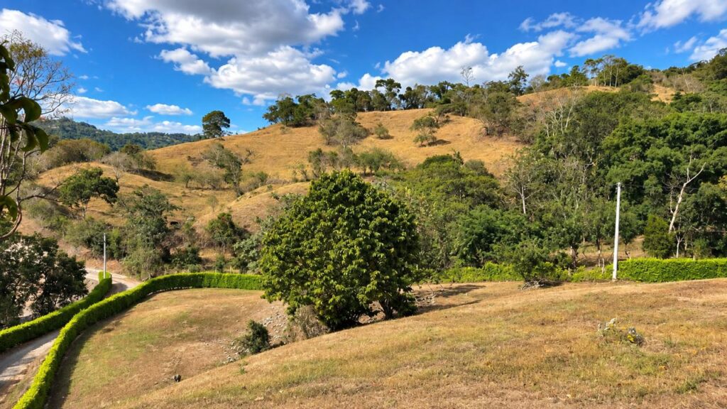 LOTE 3 QUINTAS DEL LIMON