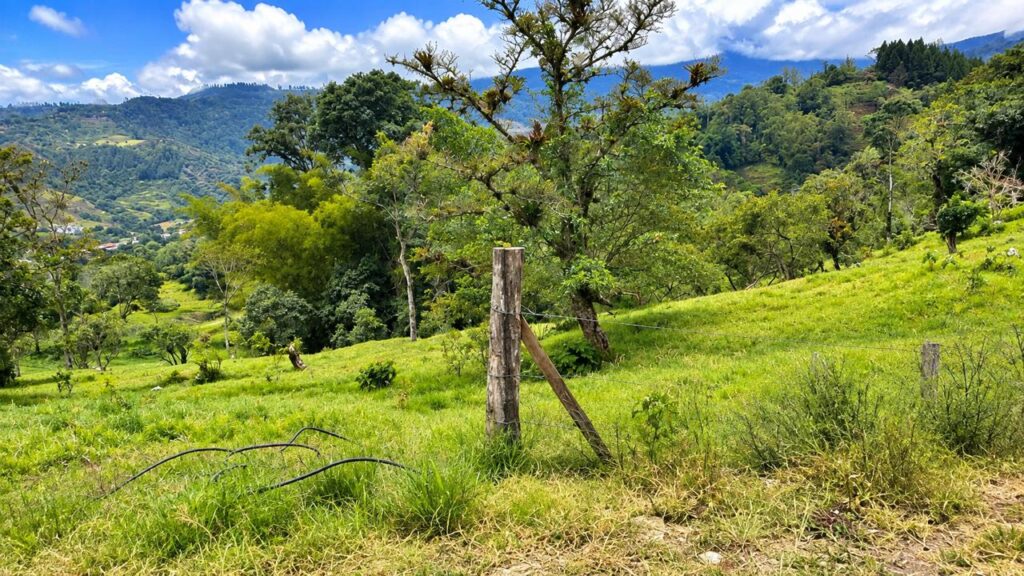 LOTE 2 RINCON DE LOS SANTOS