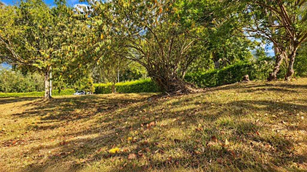 LOTE 3 QUINTAS DEL LIMON