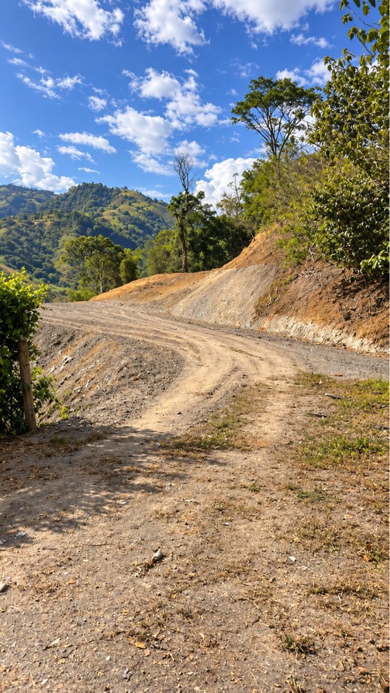 LOTE 4 QUINTAS DEL LIMON