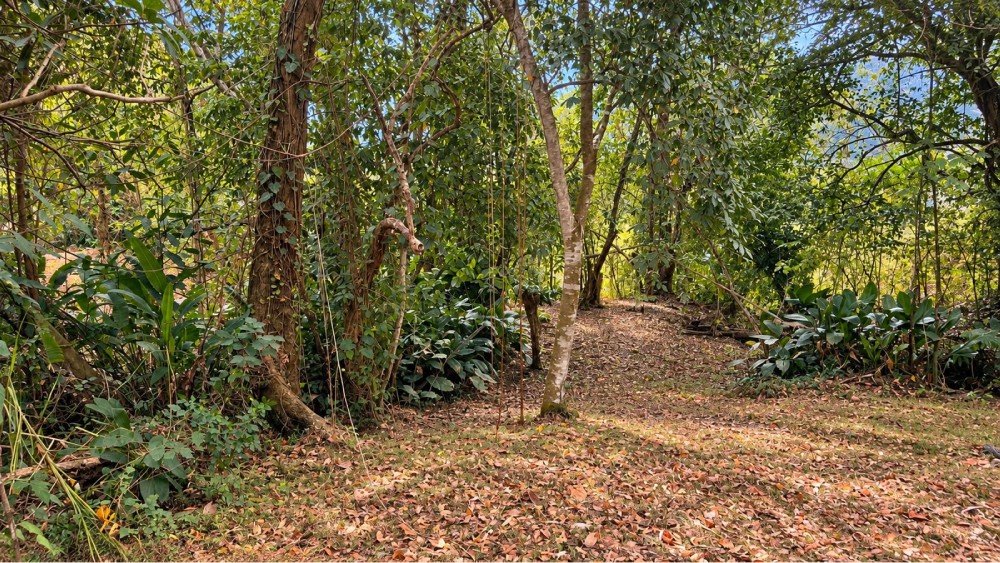 LOTE 4 QUINTAS DEL LIMON