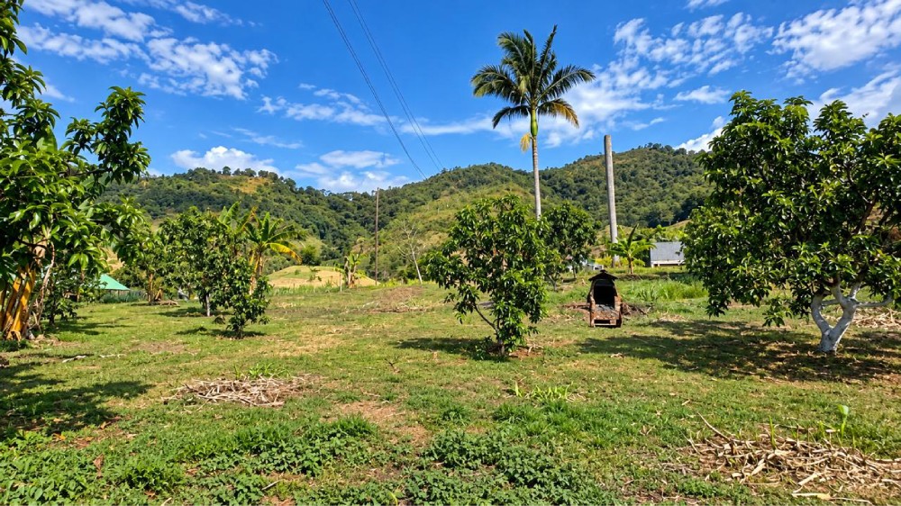LOTE 2 FINCA LETICIA