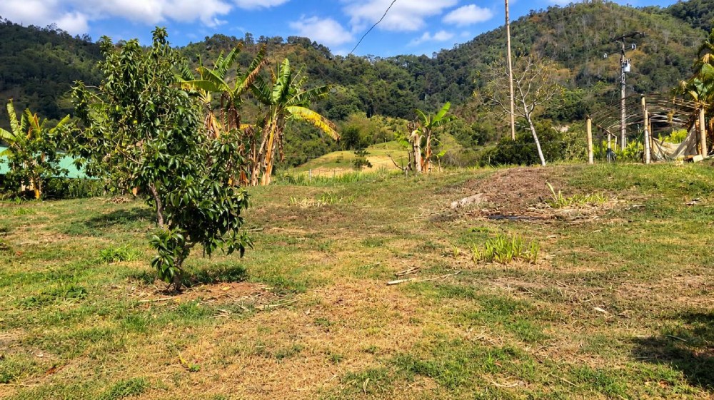 LOTE 2 FINCA LETICIA