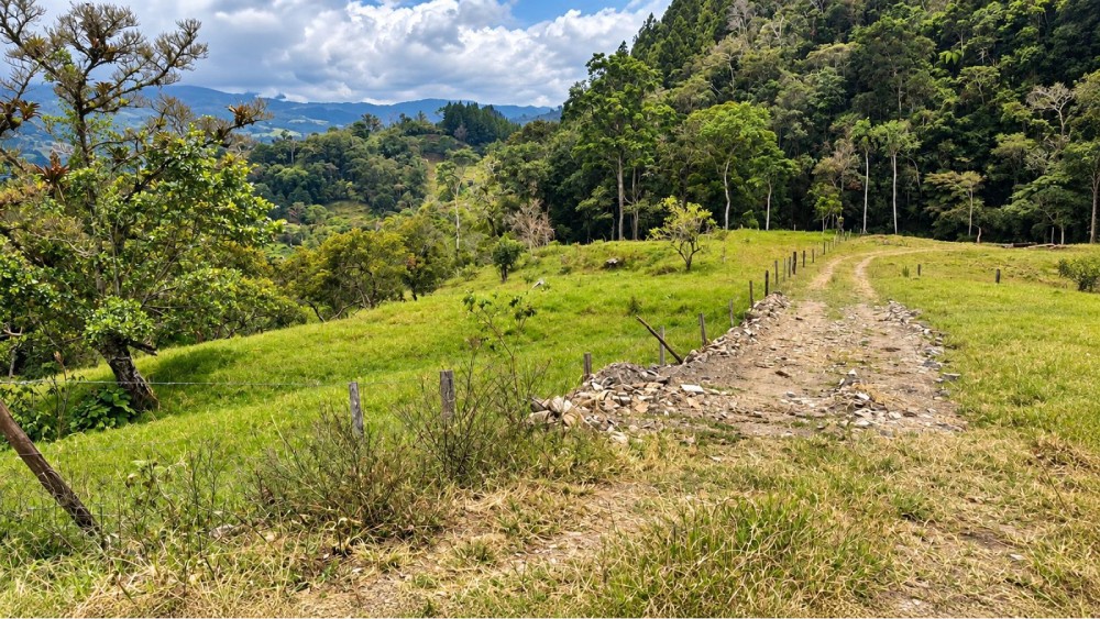 LOTE 5 RINCON DE LOS SANTOS