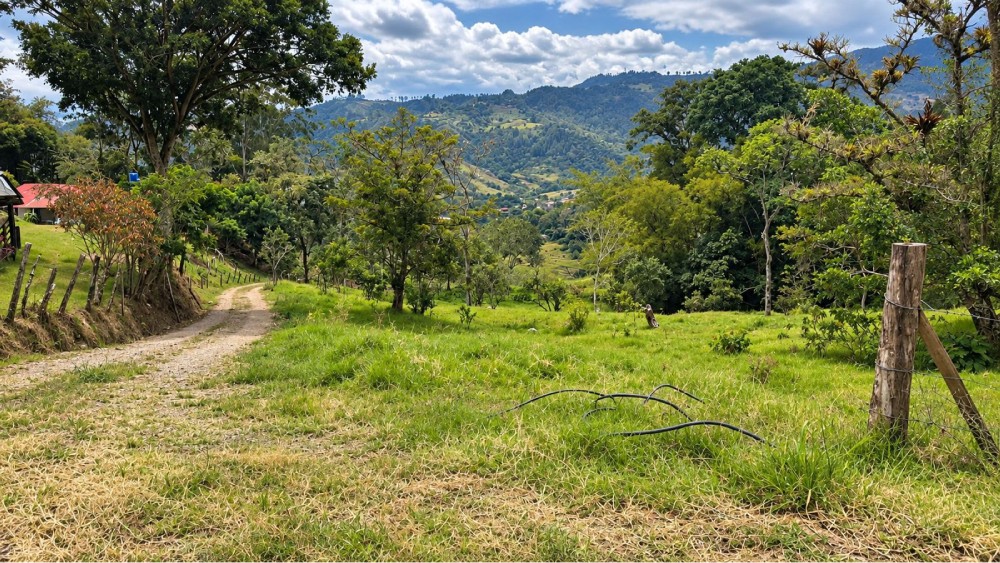 LOTE 5 RINCON DE LOS SANTOS