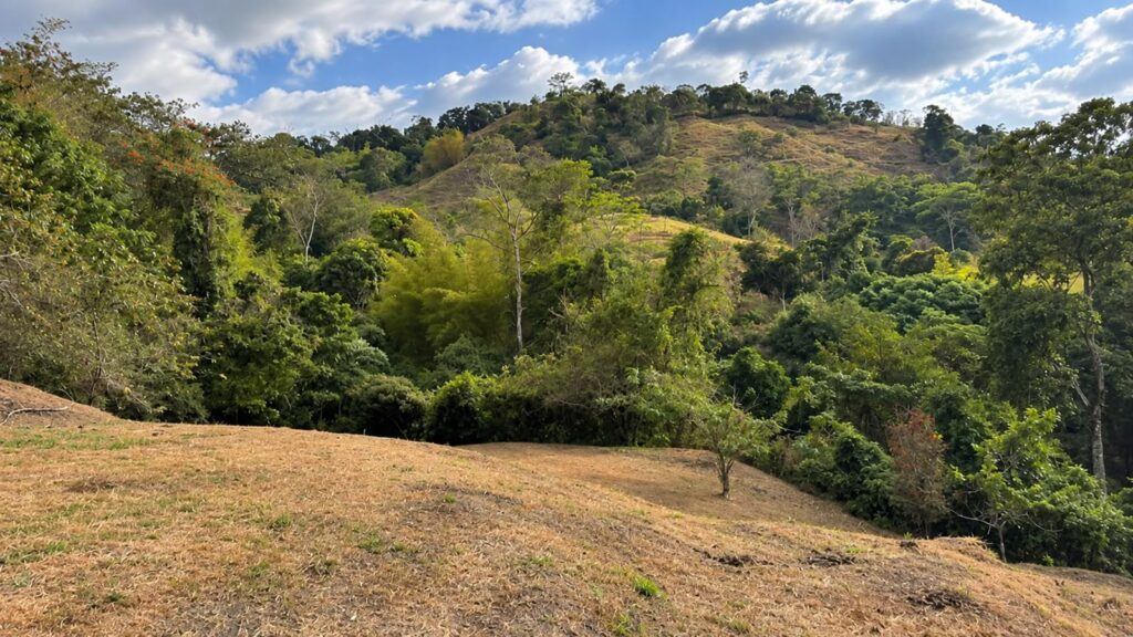 LOTE 5 QUINTAS DEL LIMON
