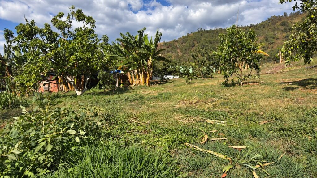 LOTE 4 FINCA LETICIA