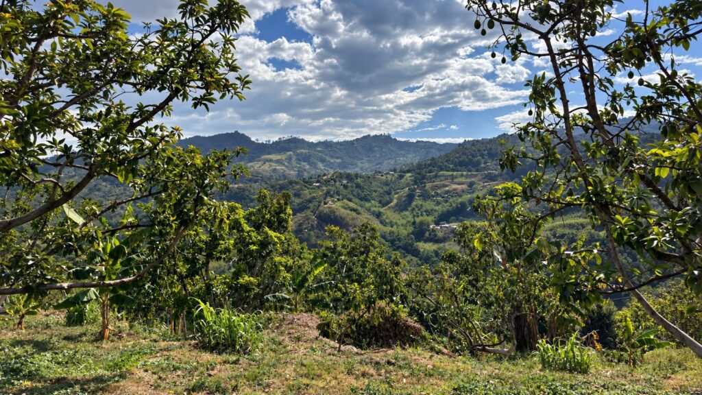 LOTE 7 RINCON DE LOS SANTOS – PROYECTOS INMOBILIARIOS