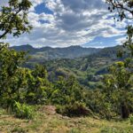 LOTE 7 RINCON DE LOS SANTOS – PROYECTOS INMOBILIARIOS